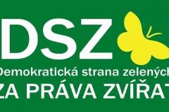 1dsz-logo