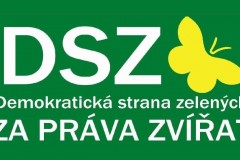dszbpz-logo1