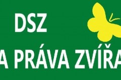 logo-dsz111