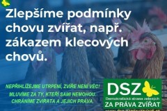 DSZ-ZA-PRAVA-ZVIRAT-klece-novy